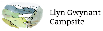 Llyn Gwynant Campsite Logo